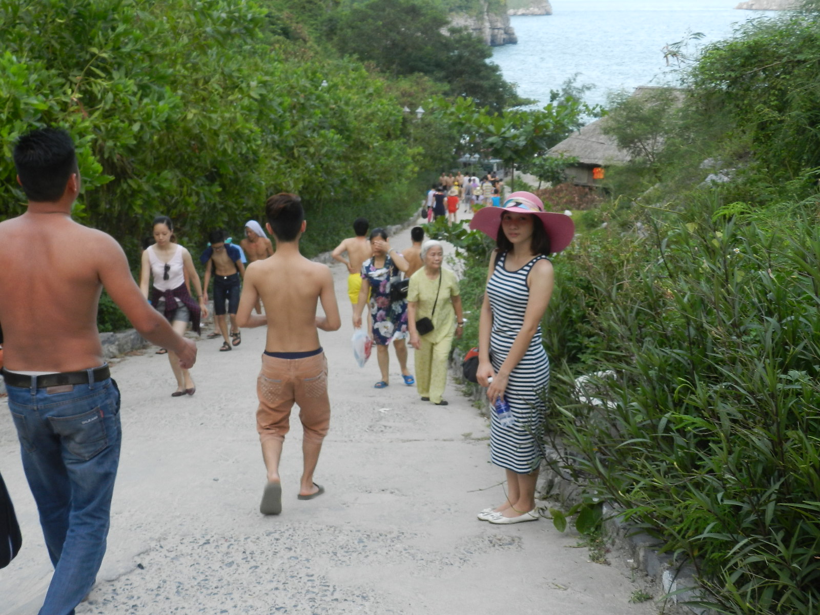 Toàn cảnh Cát Bà